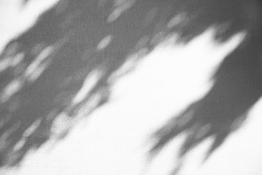 Leichte Blätterschatten vor neutralem Hintergrung